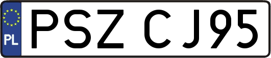 PSZCJ95