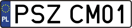 PSZCM01