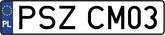 PSZCM03
