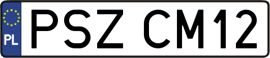 PSZCM12