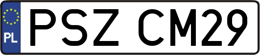 PSZCM29