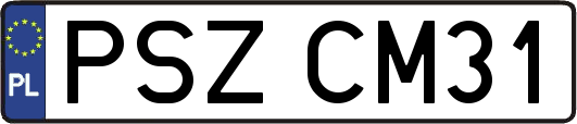 PSZCM31
