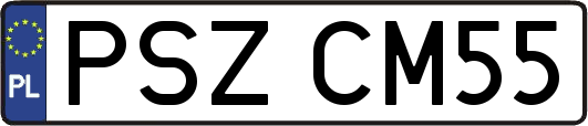 PSZCM55
