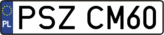 PSZCM60