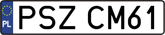 PSZCM61