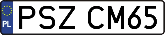 PSZCM65