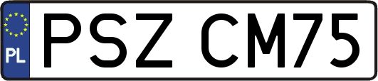 PSZCM75