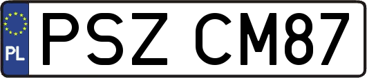 PSZCM87