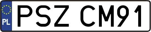 PSZCM91