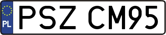 PSZCM95