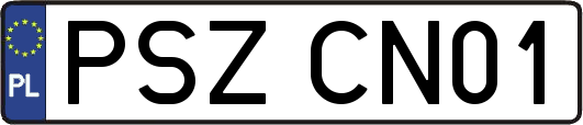 PSZCN01