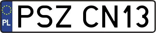 PSZCN13