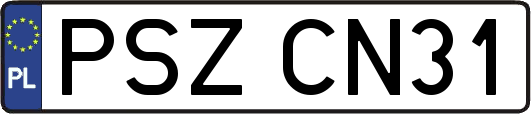 PSZCN31