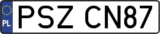 PSZCN87