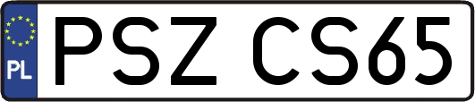 PSZCS65