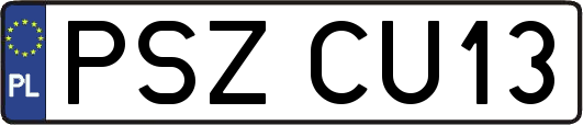 PSZCU13