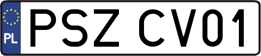PSZCV01