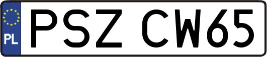PSZCW65