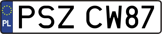 PSZCW87