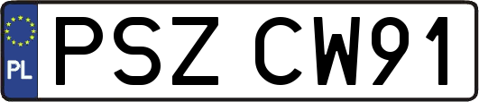 PSZCW91