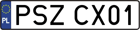 PSZCX01