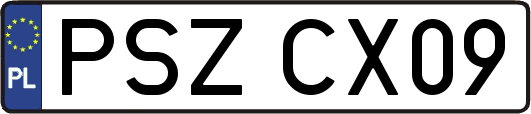 PSZCX09