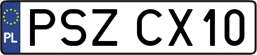 PSZCX10