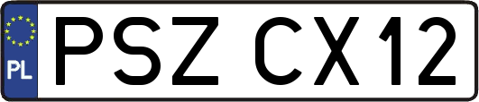 PSZCX12