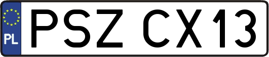PSZCX13