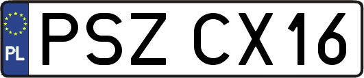 PSZCX16