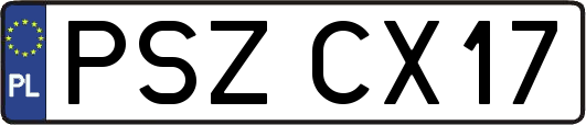 PSZCX17