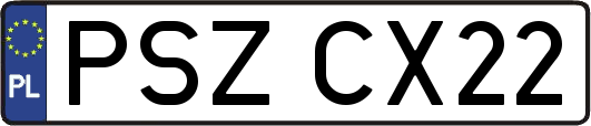 PSZCX22