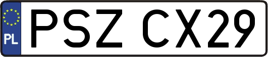 PSZCX29