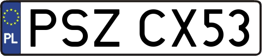 PSZCX53