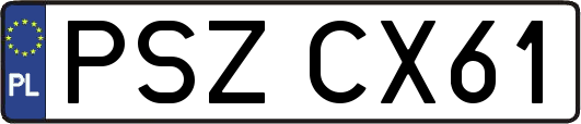 PSZCX61