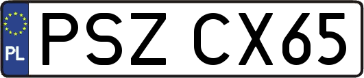 PSZCX65