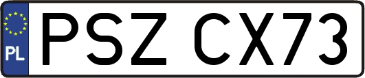 PSZCX73