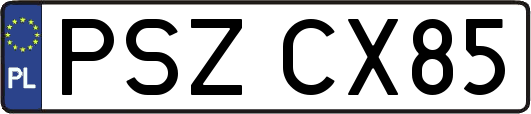 PSZCX85
