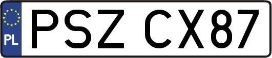 PSZCX87