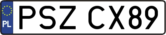 PSZCX89