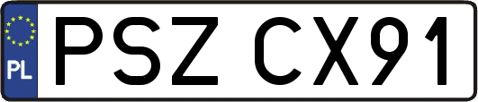 PSZCX91