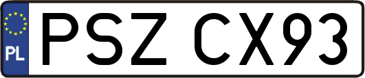 PSZCX93