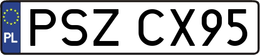 PSZCX95