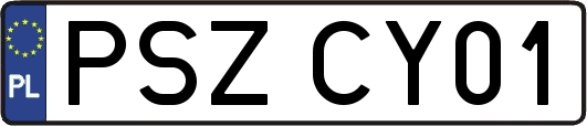 PSZCY01