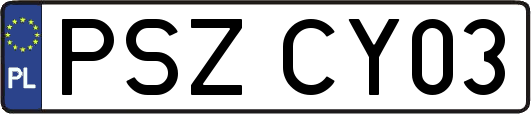 PSZCY03