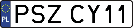 PSZCY11