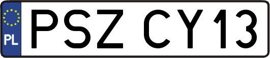 PSZCY13