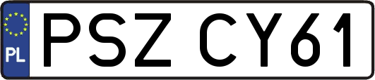 PSZCY61