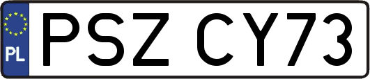PSZCY73