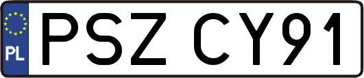 PSZCY91